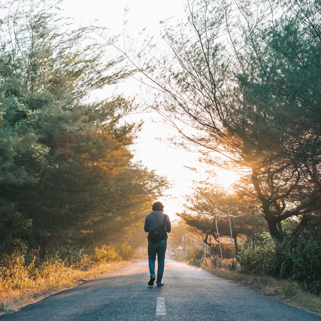 A man walking alone down a sunlit road lined with trees